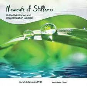 Moments Of Stillness CD by Sarah Edelman