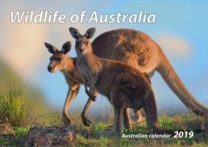 2019 Wildlife of Australia Compact Panorama Calendar by Various