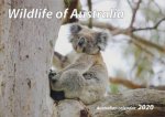 Wildlife of Australia Calendar 2020