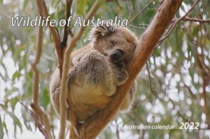 2022 Wildlife of Australia Desk Calendar by John Xiong