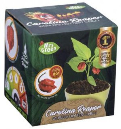 Carolina Reaper Chilli by Various