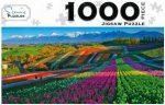 Scenic 1000 Piece Puzzles Flower Gardens Shikisai Hill Japan