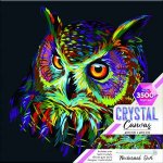 Crystal Canvas Nocturnal Owl