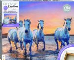 Crystal Creations Canvas Wild Horses