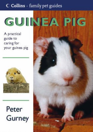 Collins Family Pets: Guinea Pig by Peter Gurney