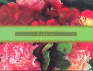 Peonies: A Notecard Portfolio by Unknown