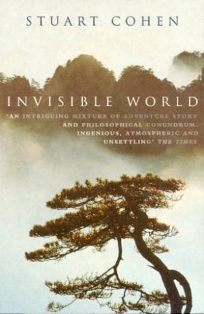 Invisible World by Stuart Cohen