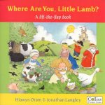 Where Are You Little Lamb