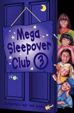 The Sleepover Club Mega Sleepover Club Omnibus 3