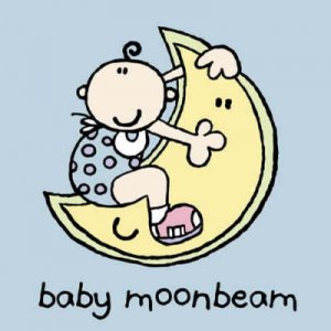 Bang On The Door Cloth Book: Good Night Baby Moonbeam by Various