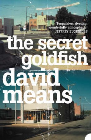 The Secret Goldfish by David Means