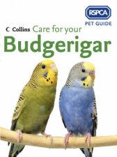 RSPCA Care For Your Budgerigar