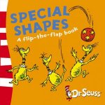 Dr Seuss Special Shapes  A LiftTheFlap Book