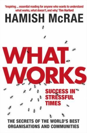 What Works: Success in Stressful Times by Hamish McRae