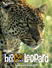 Big Cat Diary Leopard