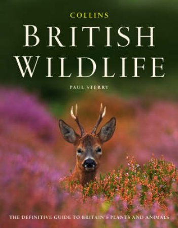 Collins British Wildlife by Paul Sterry