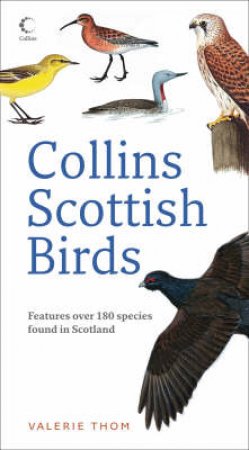 Collins Scottish Birds by Valerie Thom