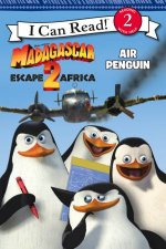 Air Penguin