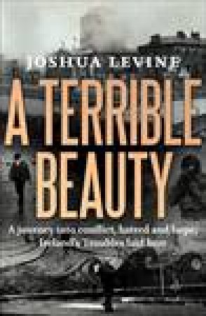 Terrible Beauty: A Journey into Conflict, Hatred and Hope; Ireland's Troubles Laid Bare by Joshua Levine