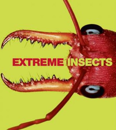 Extreme Insects by Richard Jones