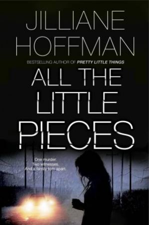 All the Little Pieces by Jilliane Hoffman