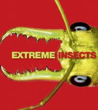 Extreme Insects