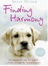 Finding Harmony The Remarkable Dog That Helped A Family Through The