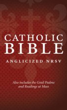 Catholic Bible Anglicized New Revised Standard Version nrsv with the Grail Psalms