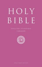 Holy Bible English Standard Version ESV Anglicized Pink Gift and Award