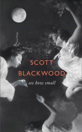 See How Small by Scott Blackwood