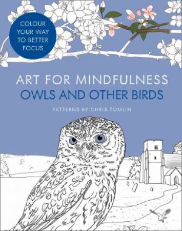 Art For Mindfulness Owls And Other Birds by Chris Tomlin