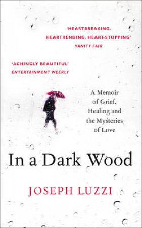 In A Dark Wood: A Memoir Of Grief, Healing, And The Mysteries Of Love by Joseph Luzzi