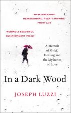 In A Dark Wood A Memoir Of Grief Healing And The Mysteries Of Love