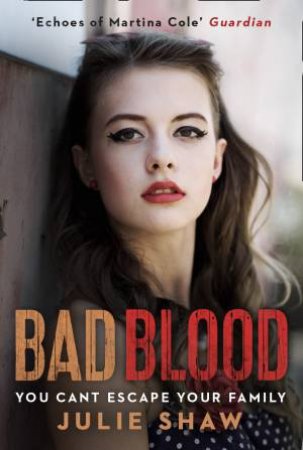 Tales Of The Notorious Hudson Family (5) - Bad Blood by Julie Shaw