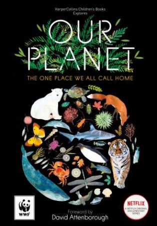 Our Planet: The One Place We All Call Home by Matt Whyman & Richard Jones