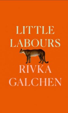 Little Labours by Rivka Galchen