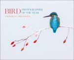 Bird Photographer Of The Year 2017