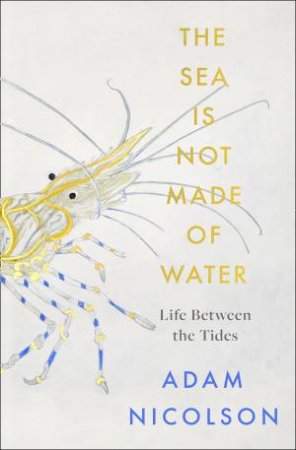 The Sea Is Not Made Of Water: Life Between The Tides by Adam Nicolson