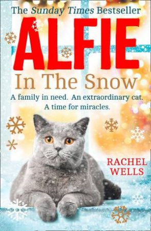 Alfie In The Snow by Rachel Wells