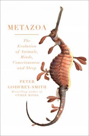 Metazoa: The Evolution Of Animals, Minds, Consciousness And Sleep by Peter Godfrey-Smith