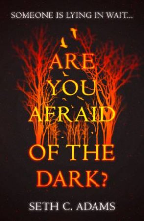 Are You Afraid Of The Dark? by Seth C Adams