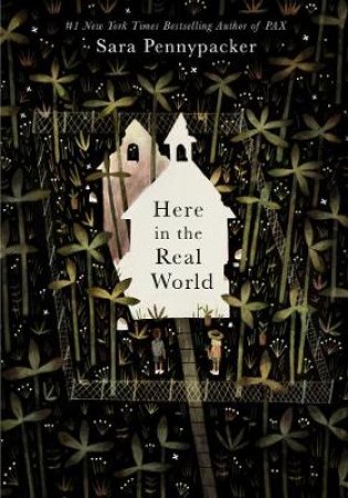 Here In The Real World by Sara Pennypacker