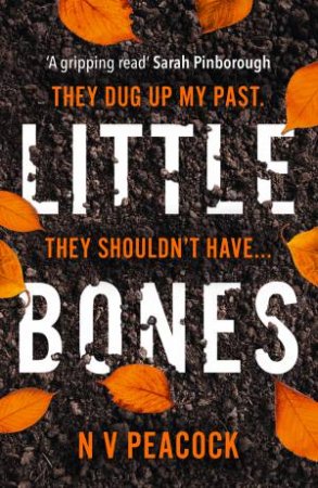 Little Bones by N V Peacock