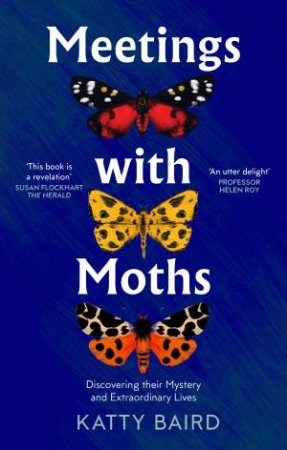 Meeting with Moths: Discovering their Mystery and Extraordinary Lives by Katty Baird