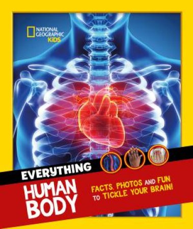 Everything: Human Body: Eye-Opening Facts And Photos To Tickle Your Brain! by Various