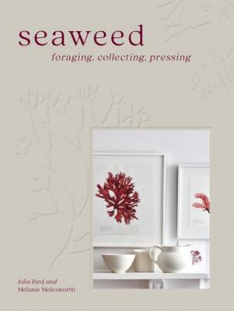 Seaweed by MELANIE MOLESWORTH