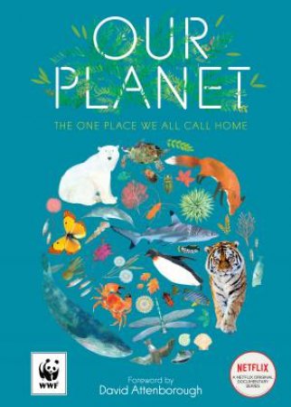 Our Planet by Matt Whyman