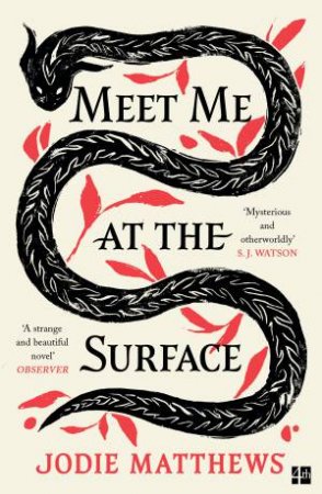 Meet Me at the Surface by Jodie Matthews