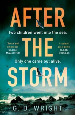 After the Storm by G. D. Wright