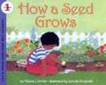 How A Seed Grows